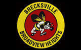 Bees Athletics